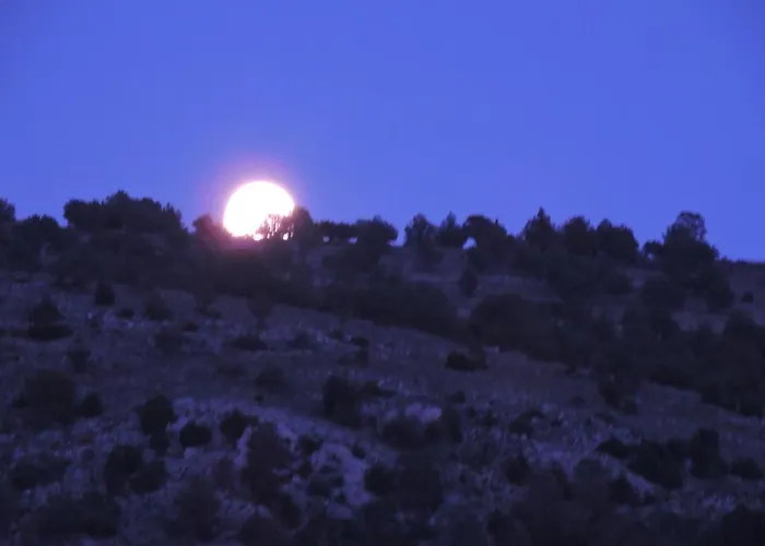 Gæstehus Royuela Hostal Royuela