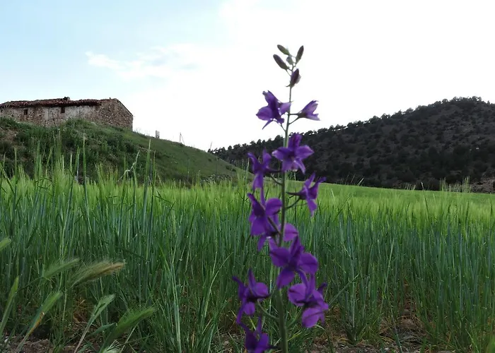 Gæstehus Royuela Hostal